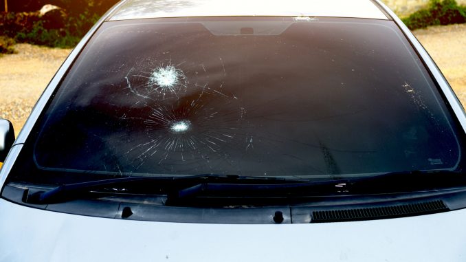 rock chips rock chips
